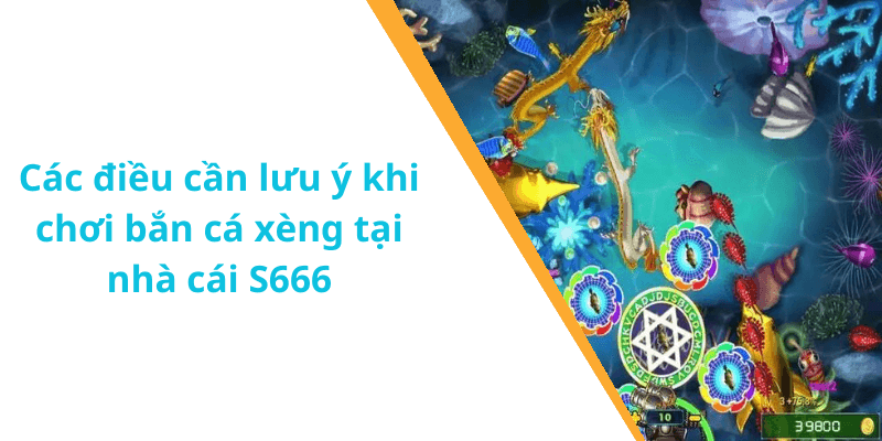 Các điều cần lưu ý khi chơi bắn cá xèng tại nhà cái S666