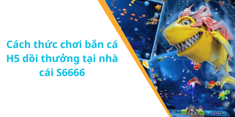 Cách thức chơi bắn cá H5 dồi thưởng tại nhà cái S6666