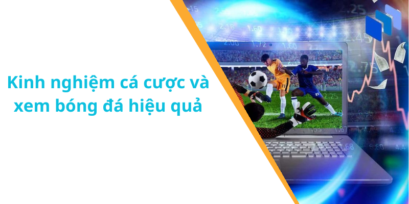 Kinh nghiệm cá cược và xem bóng đá hiệu quả