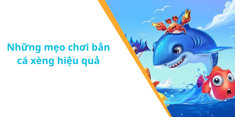 Những mẹo chơi bắn cá xèng hiệu quả