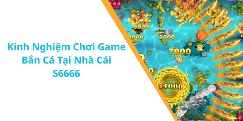 Kinh Nghiệm Chơi Game Bắn Cá Tại Nhà Cái S6666