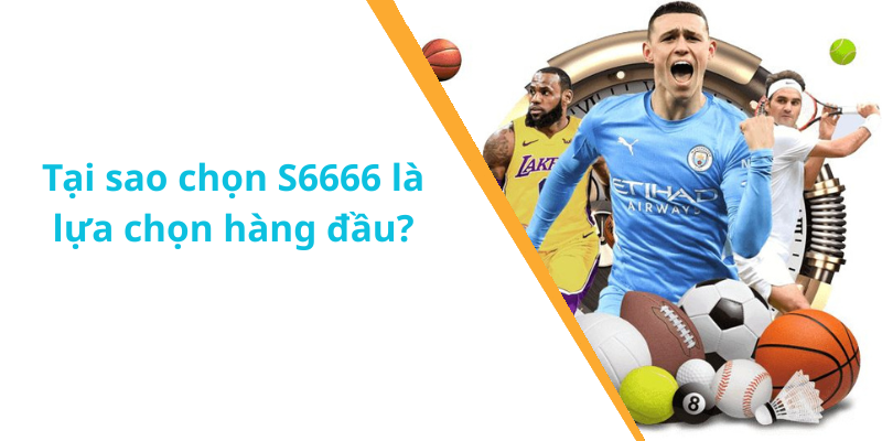 Tại sao chọn S6666 là lựa chọn hàng đầu